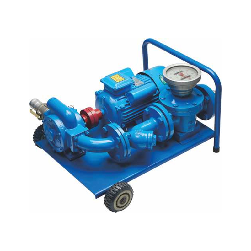 High-Precision Non-Explosion-Proof Electric Metering Pump Assembly – For Industrial & Vehicle Fuel Dispensing